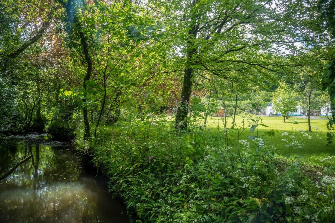 Tucking Mill - 3 Bedroom Holiday Home - Stepaside Stepaside  Esterno foto